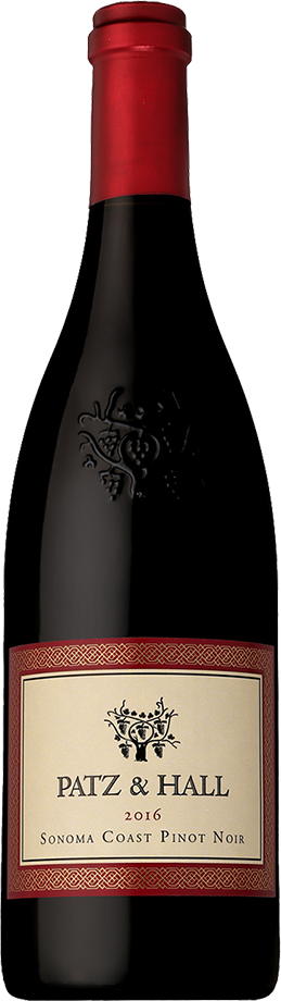 〈パッツ アンド ホール〉ソノマ コースト ピノ ノワール 2016