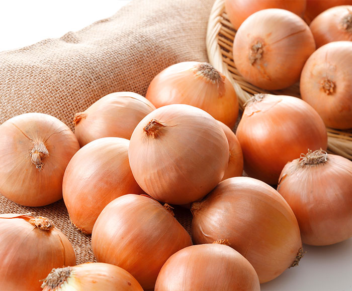 北海道産他　玉ねぎ詰め放題