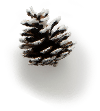 decoration