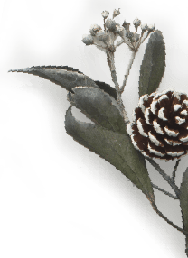 decoration