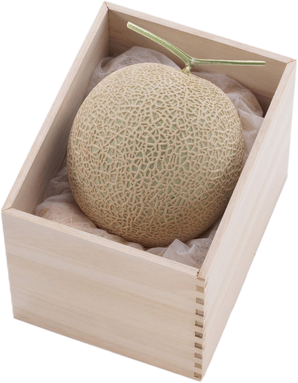 フルーツ・ゼリー・シャーベット