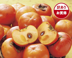 愛媛県産 富有柿