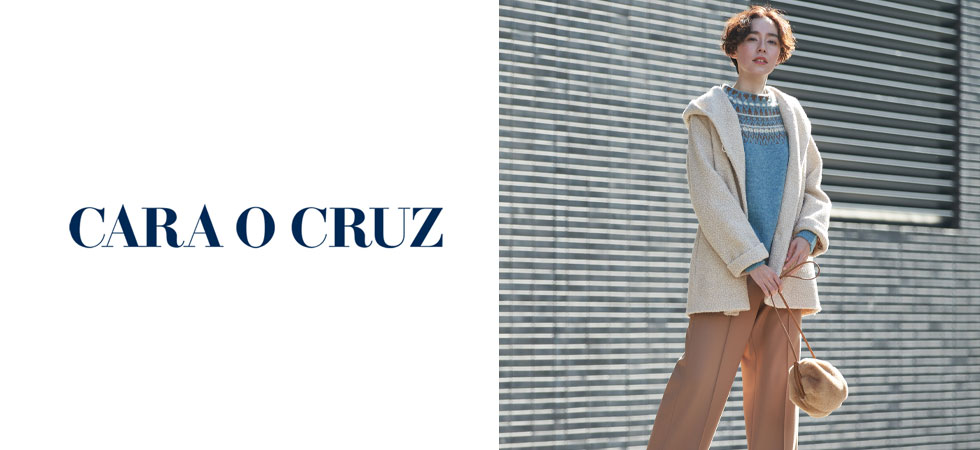 アルファエポエティナ フィオクルスのリーフレット