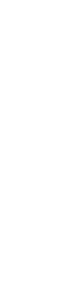 和洋中の彩り豊かな迎春のごちそう膳