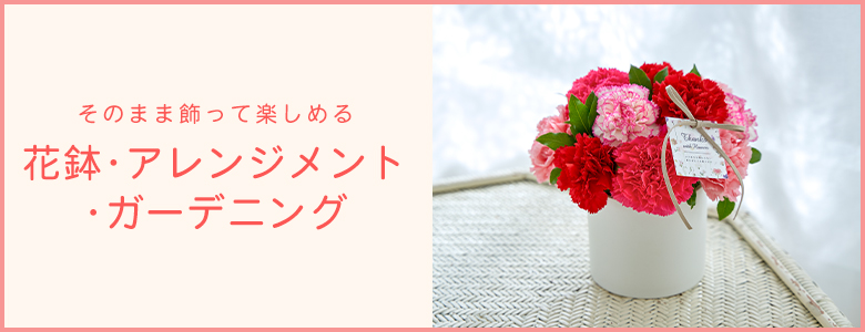 母の日 22 花鉢 アレンジメント ガーデニング ギフト通販なら東急百貨店ネットショッピング 母の日 22 花鉢 アレンジメント ガーデニング ギフト通販なら東急百貨店ネットショッピング