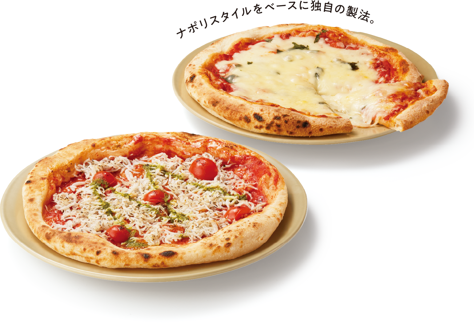 PIZZA AKIRATSCH　アキラッチピザ5枚セット