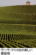 偉大な未亡人が発展させたシャンパーニュ ヴーヴ クリコ イエローラベル ブリュットワインコラム 渋谷 東急フードショー 東急百貨店公式ホームページ