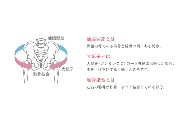 産後の体形はどうしたらいい ワコールの骨盤ベルトで産前 産後の体をやさしくサポート ママライフを たのしく かしこく Mamaco With