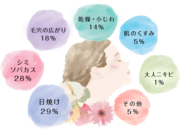 日焼け…29％、シミ ソバカス…28％、毛穴の広がり…18％、乾燥・小じわ…14％、肌のくすみ…5％、大人ニキビ…1％、その他…5％