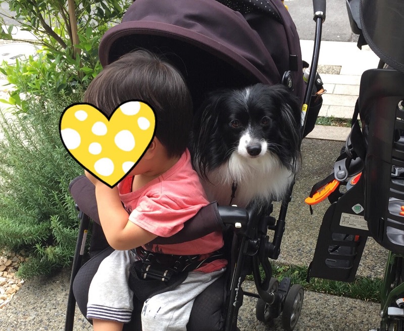 忙しいママ必見 超簡単 手抜き離乳食 ママライフを たのしく かしこく Mamaco With