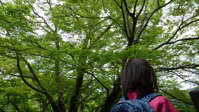3歳児旅行 ベビーカー持っていく 持って行かない 議論 ママライフを たのしく かしこく Mamaco With