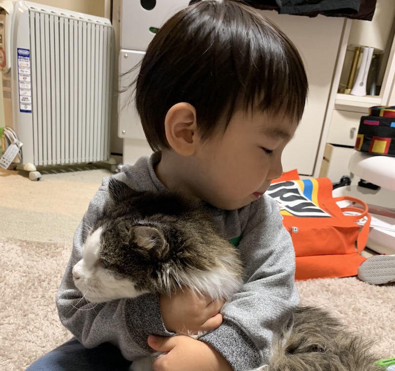 癒される光景 猫と我が子のツーショット ママライフを たのしく かしこく Mamaco With