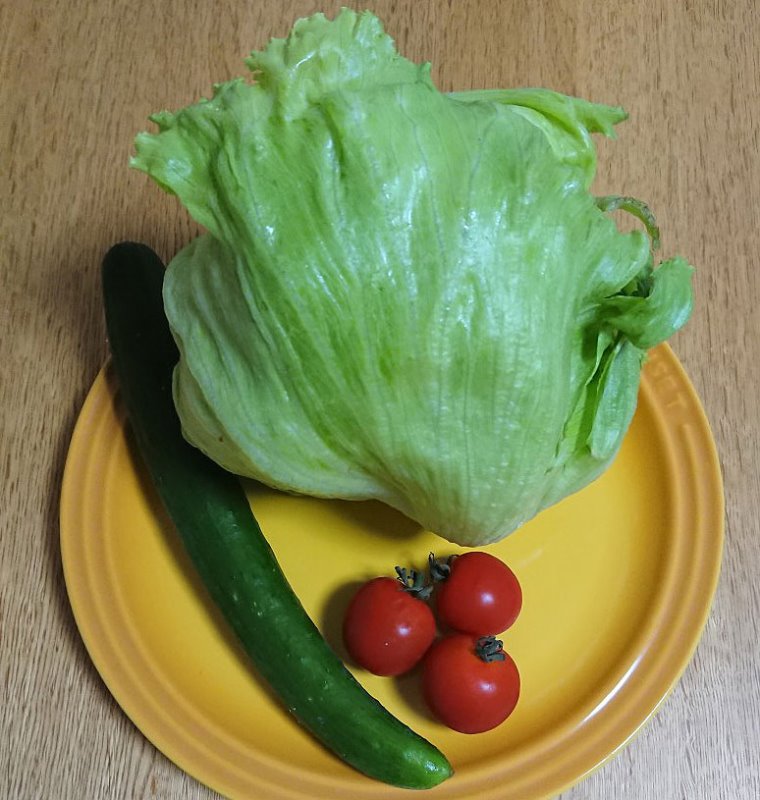 野菜嫌い克服法 模索中 ママライフを たのしく かしこく Mamaco With