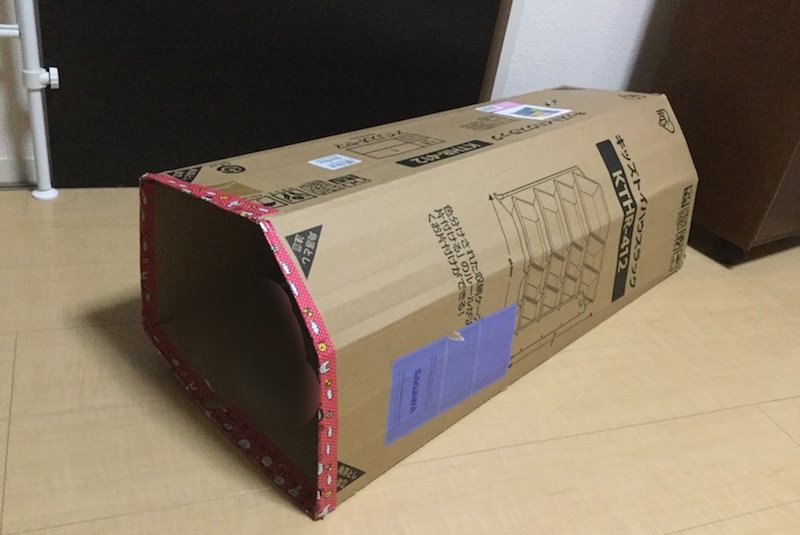 ダンボールハウス作りで楽しく エコ活 ママライフを たのしく かしこく Mamaco With