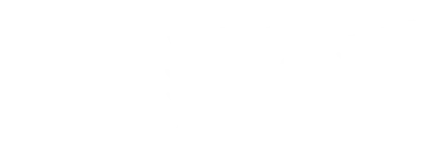 革新系