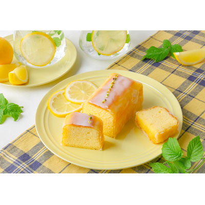 初出店〈SILK  kyoto〉バナー画像