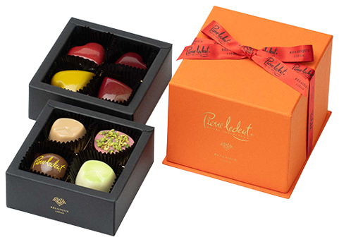 ≪ピエール・ルドン≫プチシャトー