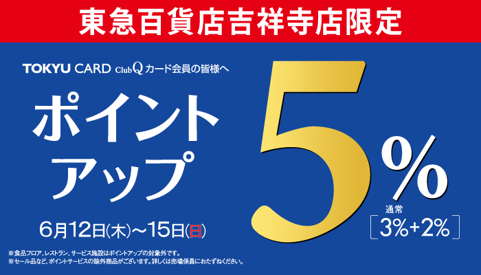 ポイントアップ
