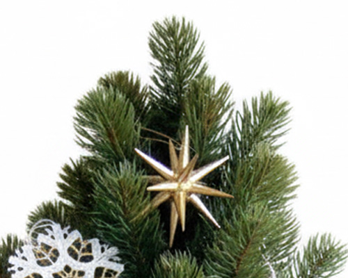 〈シグナコレクションbyニキティキ〉 オーナメント 金の星 立体（小）