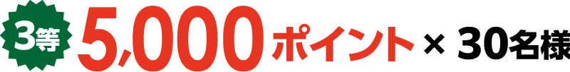 3等