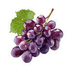 fruit果物フルーツ