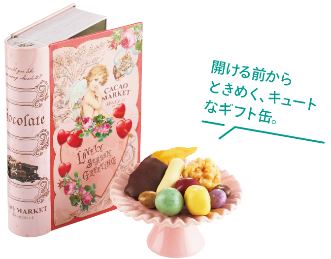 カカオマーケット バイ マリべル チョコレートボール＆フルーツ ディップ ブック缶