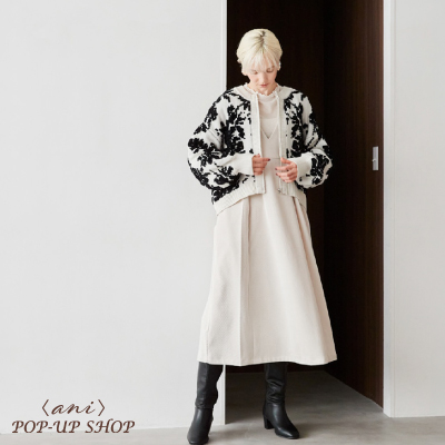 〈ani〉POP-UP SHOPバナー画像