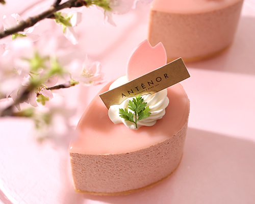 アンテノール 桜と紅茶のケーキ