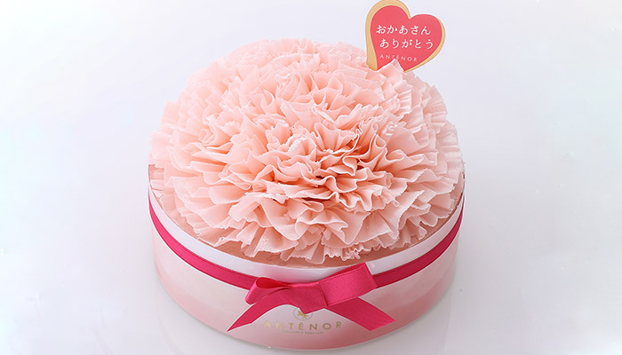 〈アンテノール〉 カーネーション<span>(1個・直径約15cm)</span>