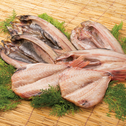 魚力