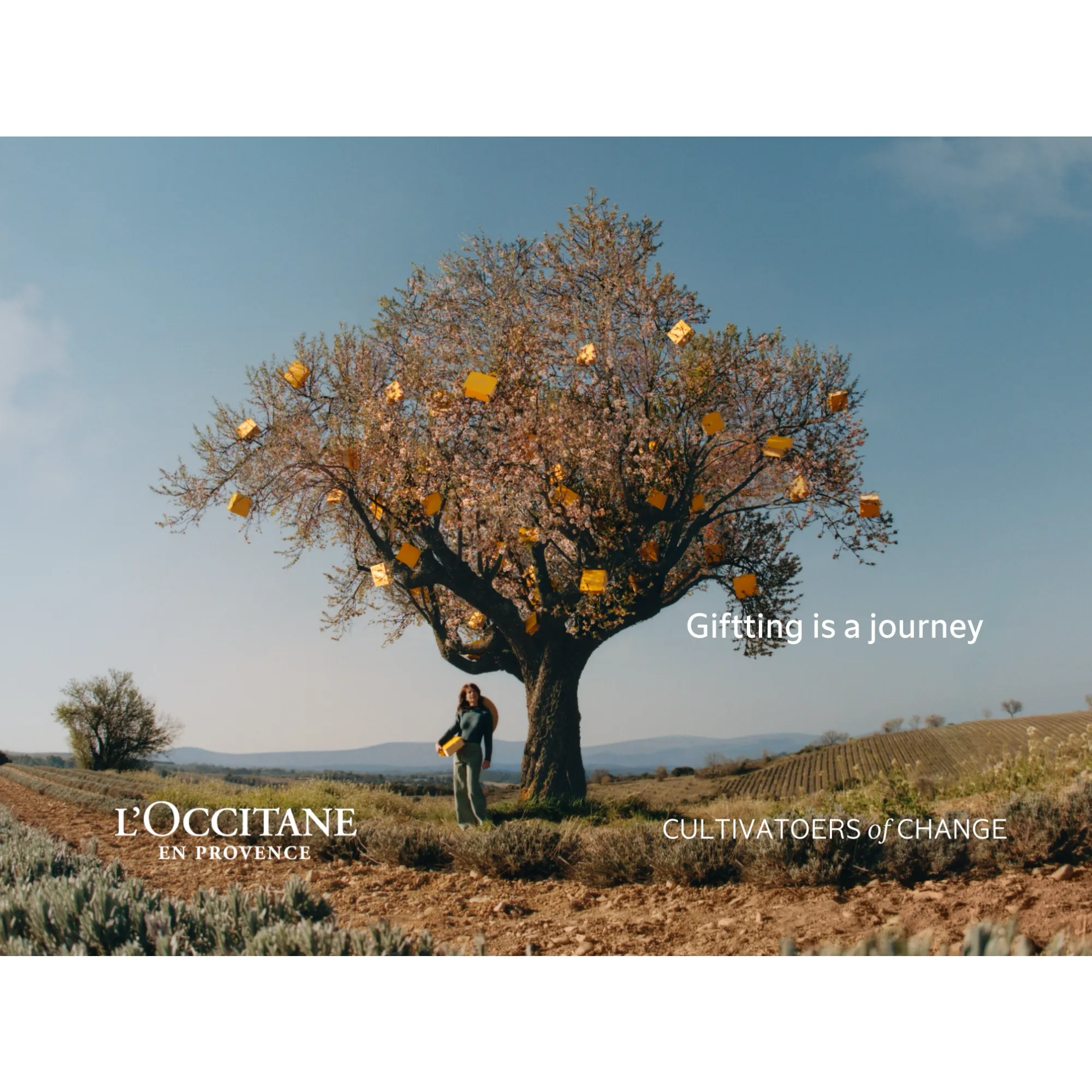 〈メゾン・デ・カドー ロクシタン〉8月7日（木）NEW OPEN