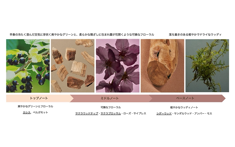 BAUM(バウム)〉さくらの蕾がほころぶ瞬間に着想した早春の香り『サクラ