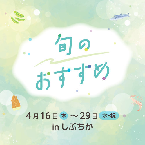 旬のおすすめ