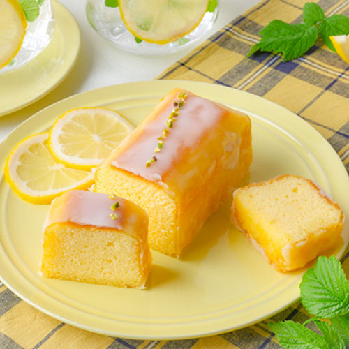 ＳＩＬＫ　Ｋｙｏｔｏ