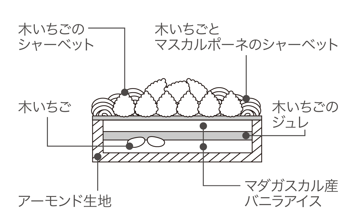 断面図
