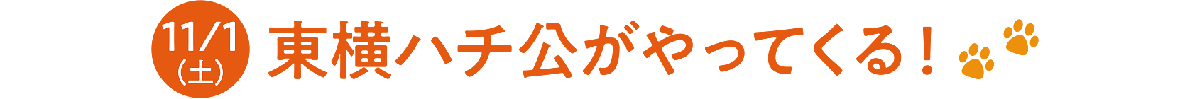 11月1日(土) 東横ハチ公がやってくる！