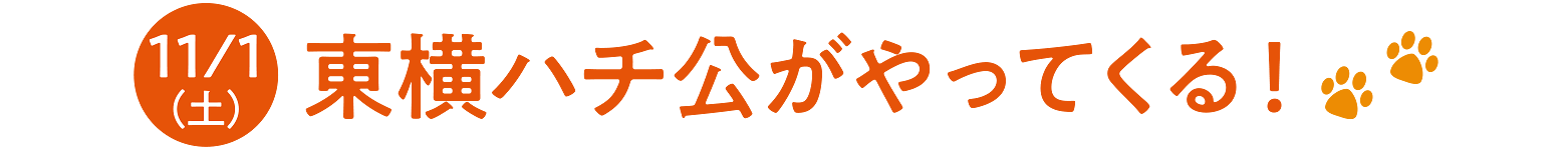 11月1日(土) 東横ハチ公がやってくる！